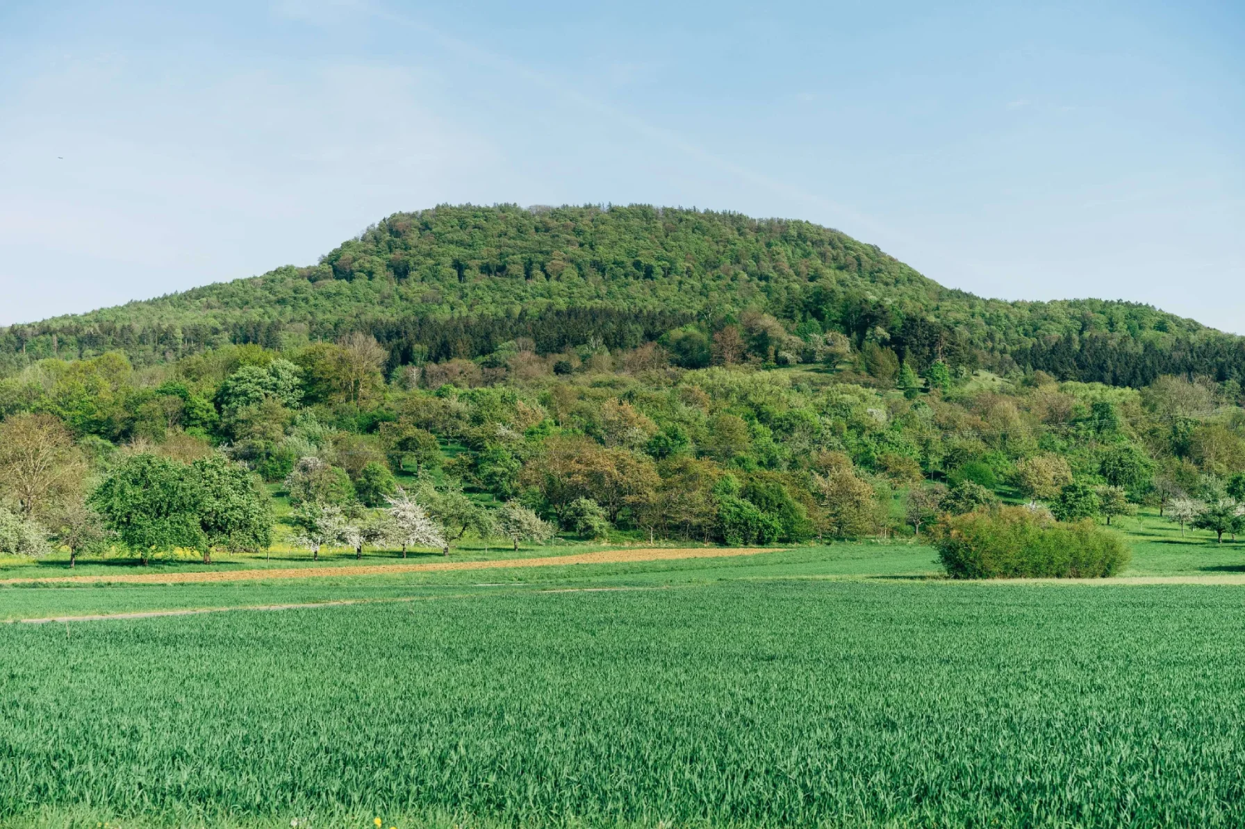 Travel & Landscape