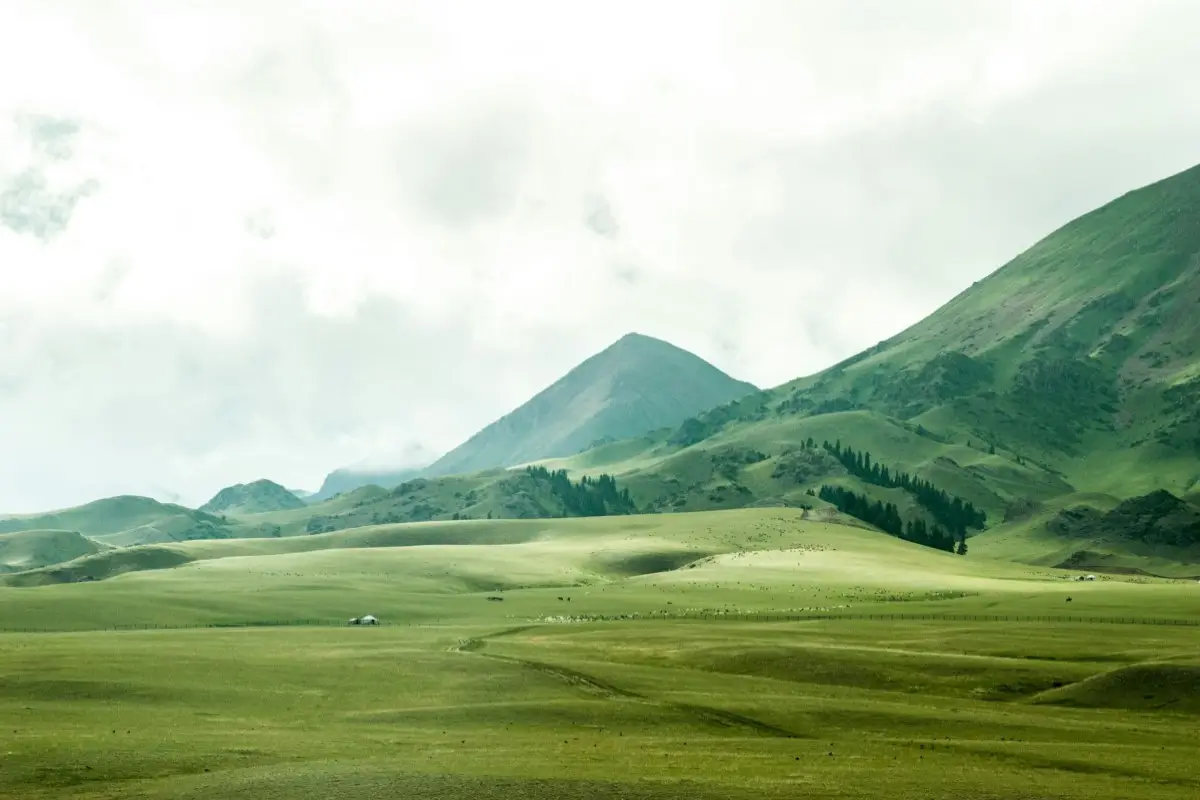 Nature image